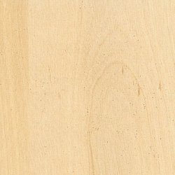 776 Дерево светлое