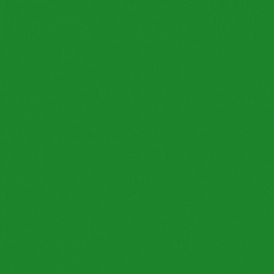 sl-113 искристый зеленый