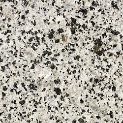 7222a9c99abc7279bbbc88b1370ceec3