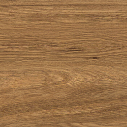 6f1e12ccc62b9d040d8b3b712c4e3450