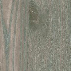 675 Morbida Вяз Нельсон