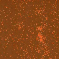 sl-202 ржавчина 3